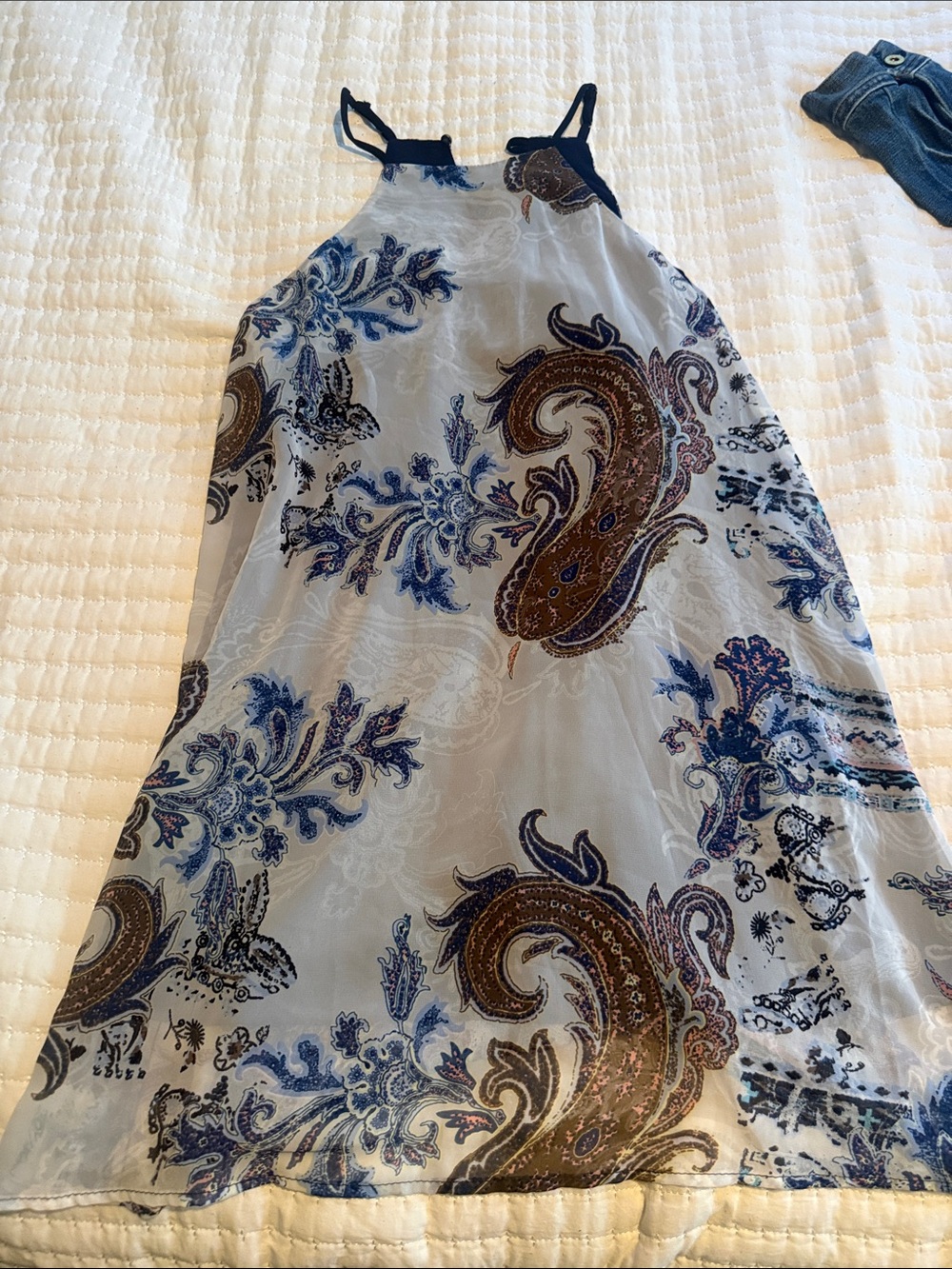 Abbeline Paisley Print dress in Blue & Brown